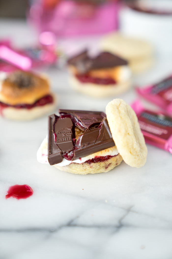 Raspberry Sugar Cookie S'mores. The best twist on a traditional recipe. Soft, pillowy, buttery sugar cookies, toasted marshmallows and homemade raspberry sauce make these the s'mores of your dreams. | thesugarcoatedcottage.com