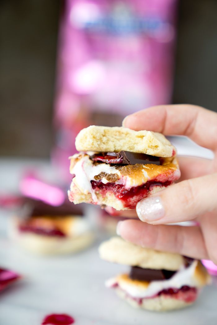Raspberry Sugar Cookie S'mores. The best twist on a traditional recipe. Soft, pillowy, buttery sugar cookies, toasted marshmallows and homemade raspberry sauce make these the s'mores of your dreams. | thesugarcoatedcottage.com