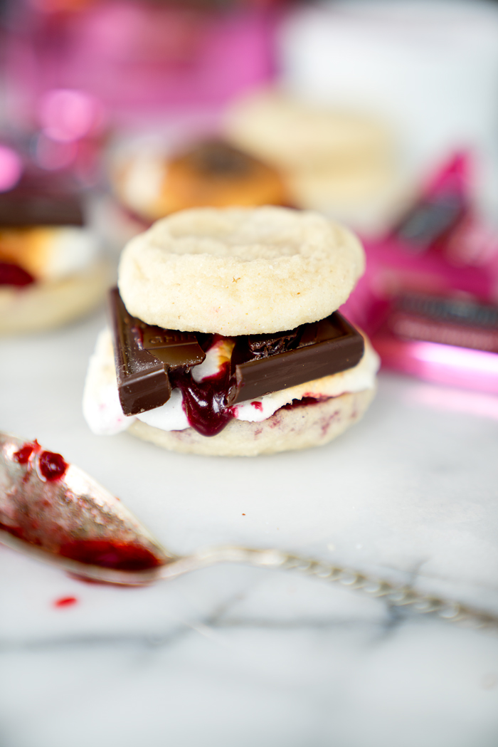 Raspberry Sugar Cookie S'mores. The best twist on a traditional recipe. Soft, pillowy, buttery sugar cookies, toasted marshmallows and homemade raspberry sauce make these the s'mores of your dreams. | thesugarcoatedcottage.com