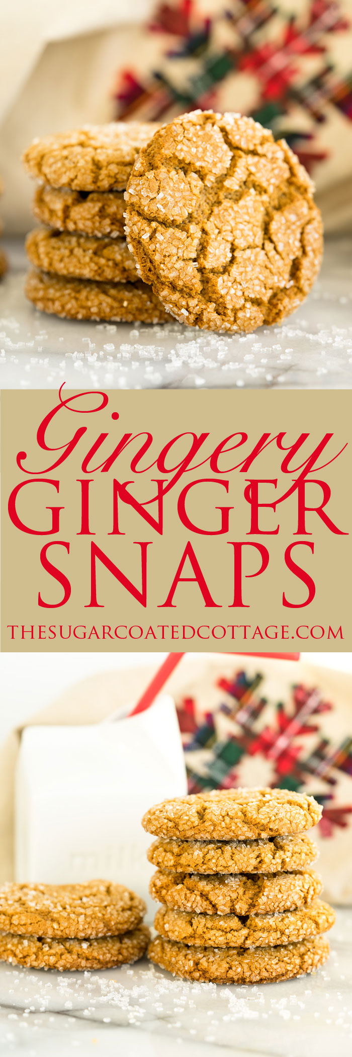 Gingery Ginger Snap Cookie recipe. Full of ginger, crinkled to perfection and coated in sanding sugar. If ever there was a holiday cookie this is it! | thesugarcoatedcottage.com