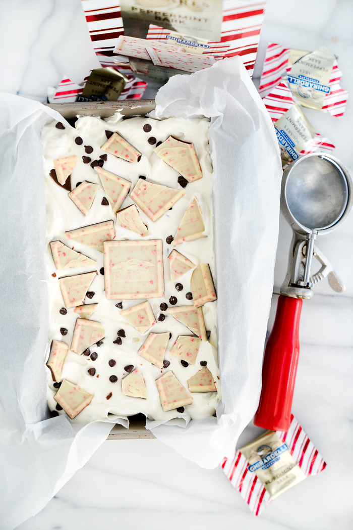 Peppermint Bark No Churn Ice Cream Recipe! Cold, creamy ice cream with pieces of cool, chocolately peppermint bark swirled in. | thesugarcoatedcottage.com