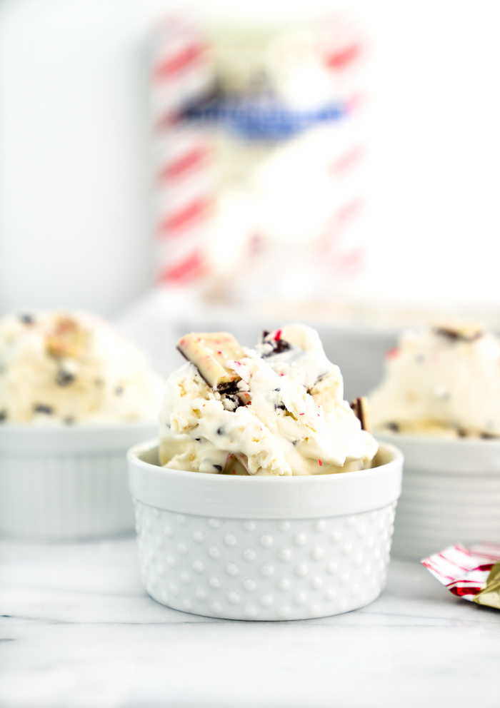 Peppermint Bark No Churn Ice Cream Recipe! Cold, creamy ice cream with pieces of cool, chocolately peppermint bark swirled in. | thesugarcoatedcottage.com