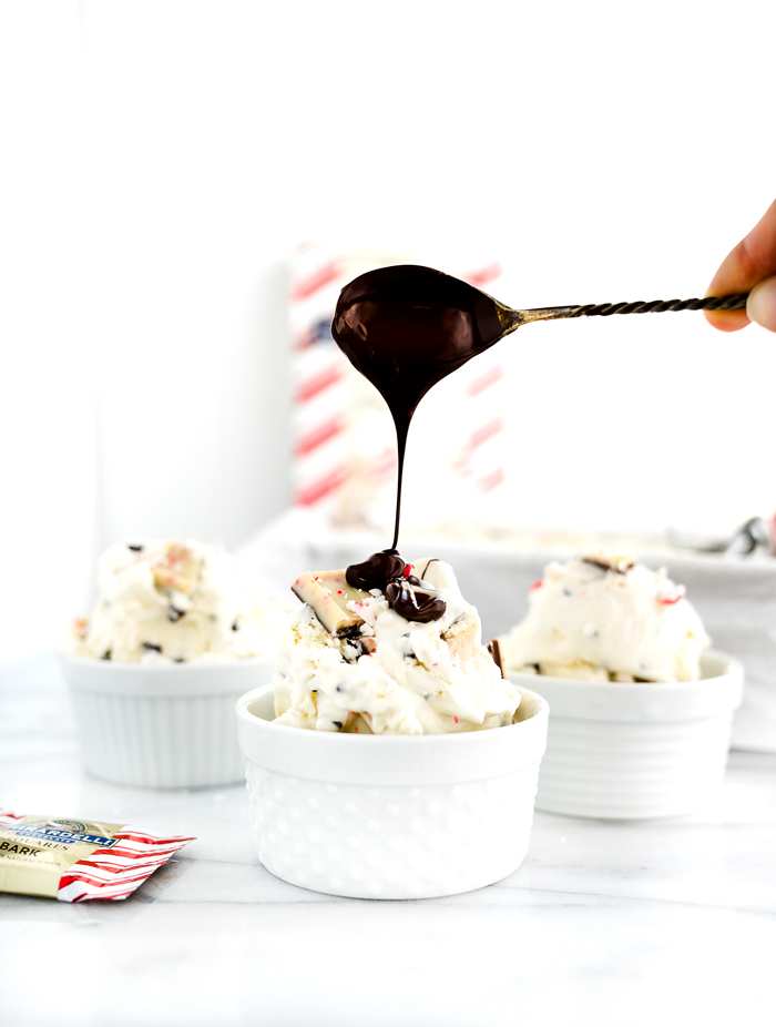 Peppermint Bark No Churn Ice Cream Recipe! Cold, creamy ice cream with pieces of cool, chocolately peppermint bark swirled in. | thesugarcoatedcottage.com