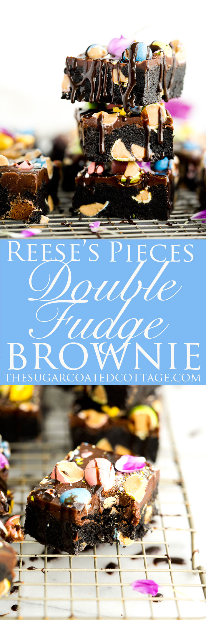 Reese's Pieces Double Fudge Brownie Recipe. My childhood favorite candy, Reese's Pieces, folded into deep dark fudge brownies and then sprinkled on top of fudgy frosting. By far the best fudgy brownie recipe!! | thesugarcoatedcottage.com #brownies #recipe #reeses pieces #frosting