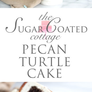 Pecan Turtle Cake - Chocolate, pecans and caramel make this cake awesome. cake, recipe, pecan turtles, candy, layer cakes, cake decorating