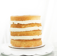 A step by step tutorial on how to properly fill and crumb coat a cake. thesugarcoatedcottage.com | #cake decorating, #crumb coat, #cake